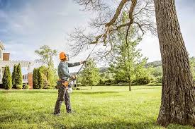 Seasonal Cleanup (Spring/Fall) in Dayton, NJ